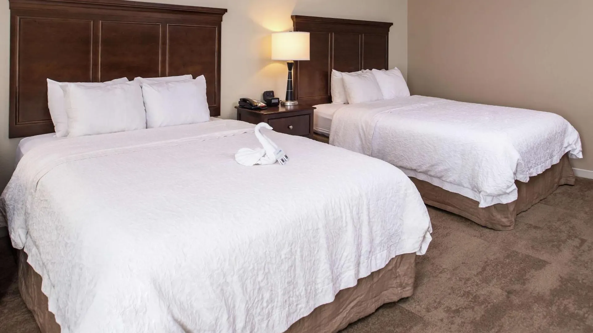 Hotel Hampton Inn & Suites Charlotte Arrowood Rd
